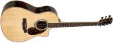 LV-09E Rosewood Artist Series L-Body Cutout Acoustic/Electric Guitar with Case
